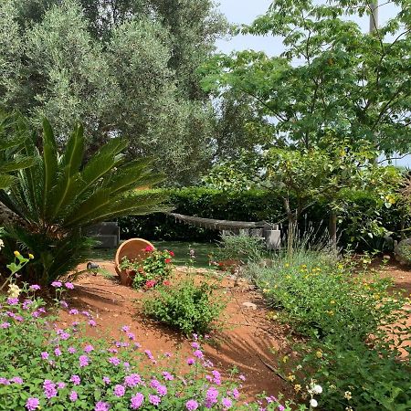 B&B All'Ombra Degli Ulivi Ostuni Zewnętrze zdjęcie