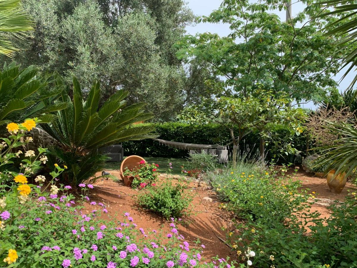 B&B All'Ombra Degli Ulivi Ostuni Zewnętrze zdjęcie